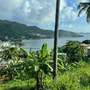 Meet your Posher, Jaya